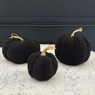 Small Black Pumpkins (Set of 2)