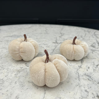 Cream Pumpkins (Set of 3)