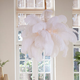 Feather Ceiling Light