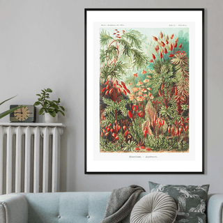 Forest Art - Limited Abode