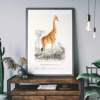 Giraffe Art