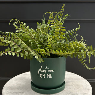 Green Plant Pot - Limited Abode