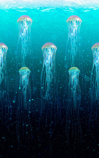 Jellyfish Wallpaper