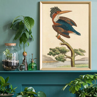 Kingfisher Art