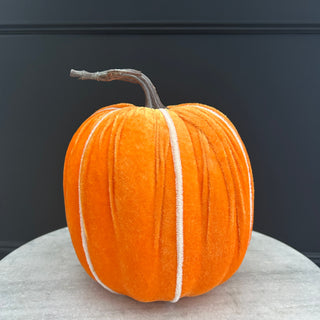 Large Orange Pumpkin