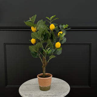 Lemon Tree