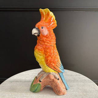 Parrot Vase - Limited Abode