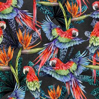 Parrot Wallpaper - Avalana Design