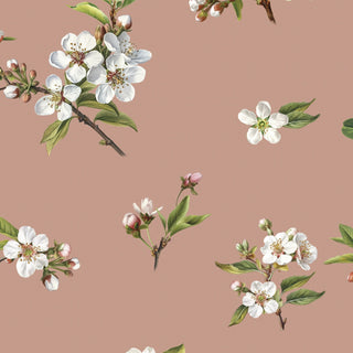 Pink Blossom Wallpaper