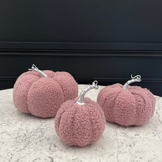 Small Pink Pumpkins (Set of 2)