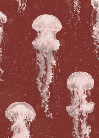 Red Jellyfish Wallpaper