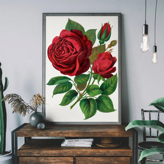 Rose Art