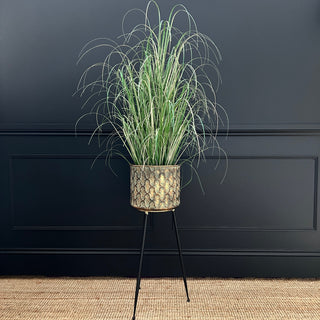 Tall Planter