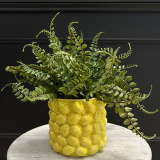 Yellow Flower Pot - Limited Abode