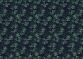 Dark Palm Wallpaper