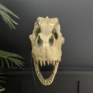 Dinosaur Wall Light