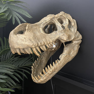 Dinosaur Wall Light - Limited Abode