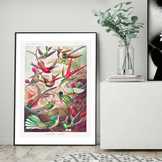 Exotic birds colourful art print