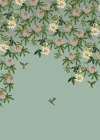 Hummingbird Wallpaper Mural