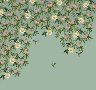 Hummingbird Wallpaper Mural