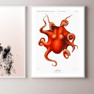 Vintage Octopus Art Print - Limited Abode